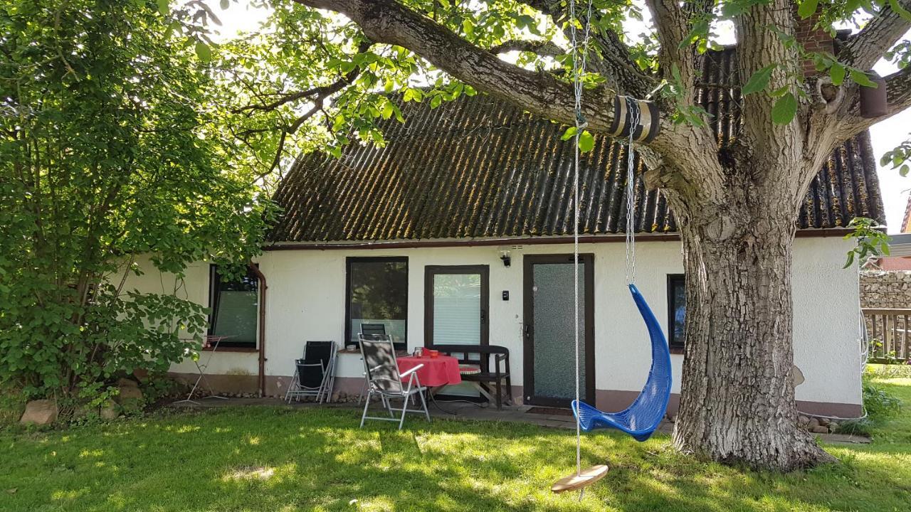 Ferienhaus Kunterbunt II Hitzacker Luaran gambar