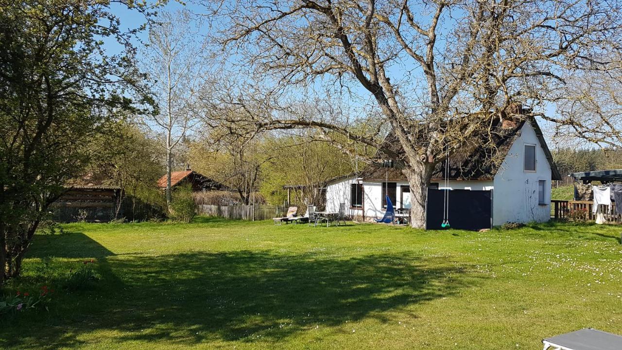 Ferienhaus Kunterbunt II Hitzacker Luaran gambar